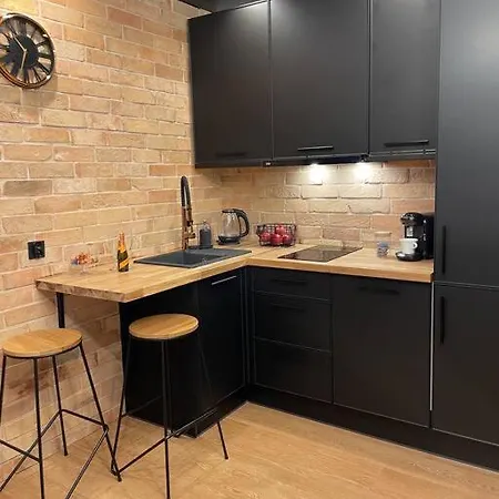 Loft Mickiewicza Apartment Torun Exterior photo