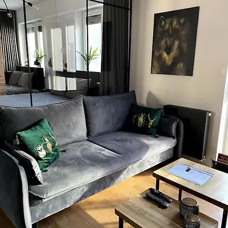 Loft Mickiewicza Apartment Torun Exterior photo