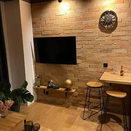 Loft Mickiewicza Apartment Torun Exterior photo