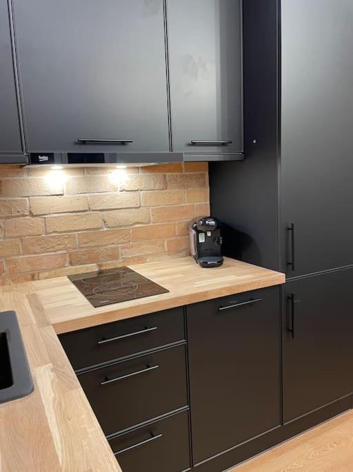 Loft Mickiewicza Apartment Torun