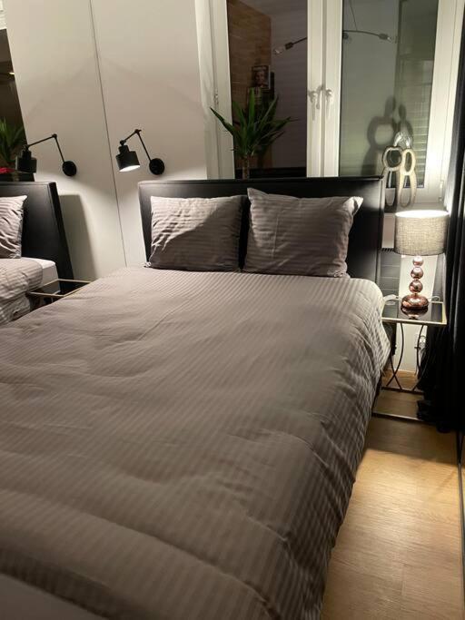 Loft Mickiewicza