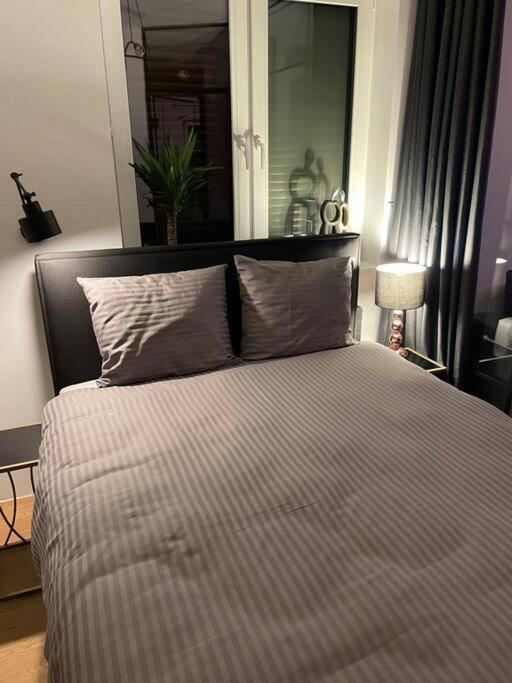 Loft Mickiewicza * Torun