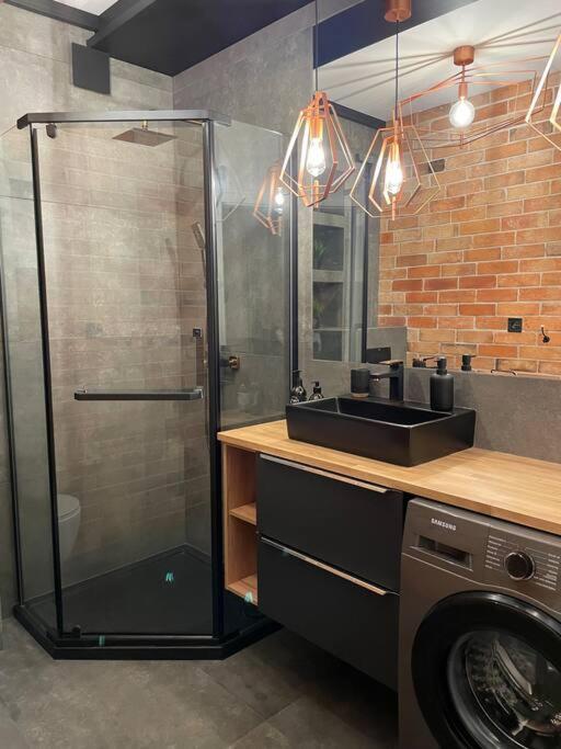 Loft Mickiewicza Apartment Torun
